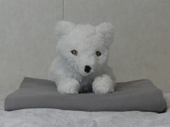 Unnamed 27 (Arctic Fox, Ikea)